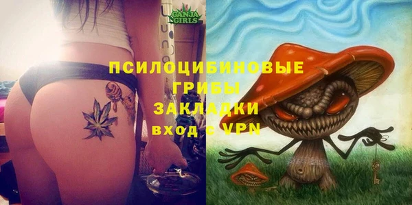 МДПВ Новокубанск