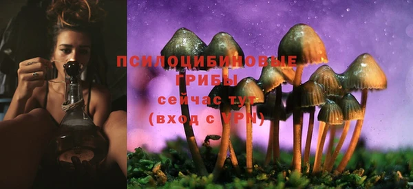 МДПВ Новокубанск