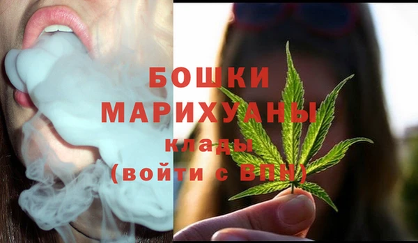ПСИЛОЦИБИНОВЫЕ ГРИБЫ Новодвинск