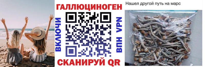 наркошоп Эртиль Галлюциногенные грибы GOLDEN TEACHER